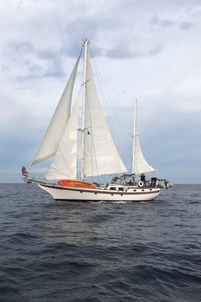 1981 Vagabond 47 en venta en Barra de Navidad, Jalisco